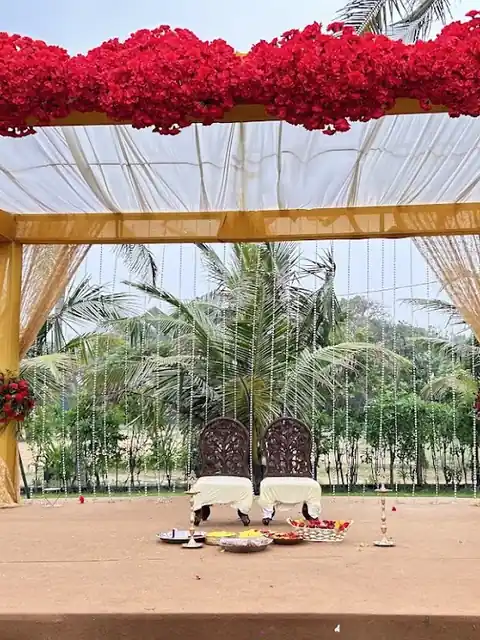 Mandap topped with red roses and sheer gold drapes